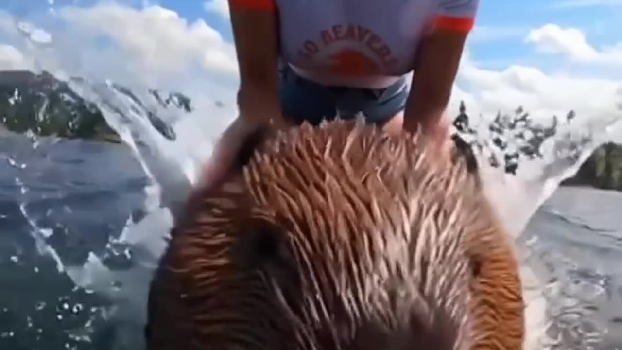 One Hour A.I. Video Reels