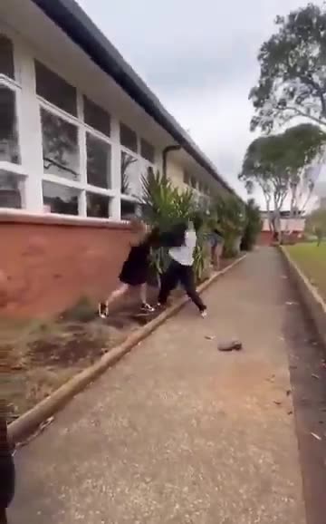 Pakistani attacks White girl