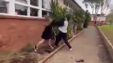 Pakistani attacks White girl