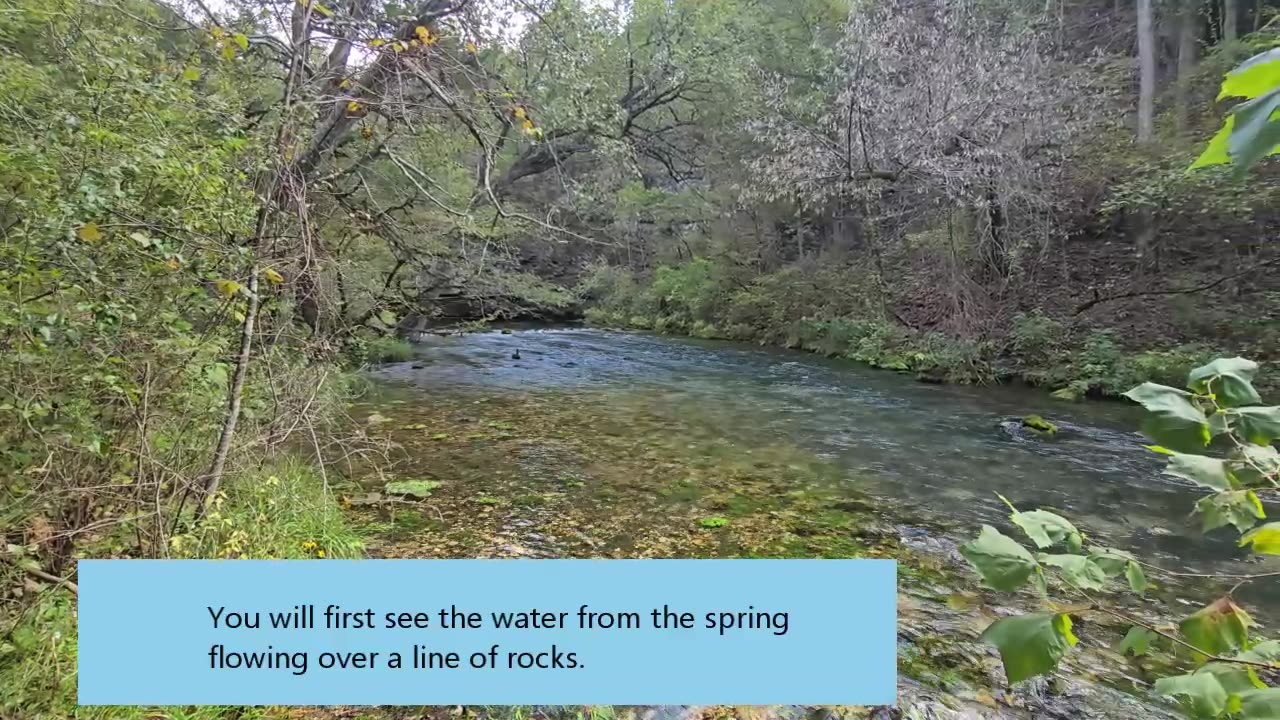 Blue Spring - 6th largest spring in Missouri - 2025