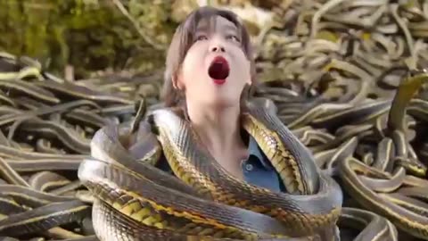 Snakes Facts