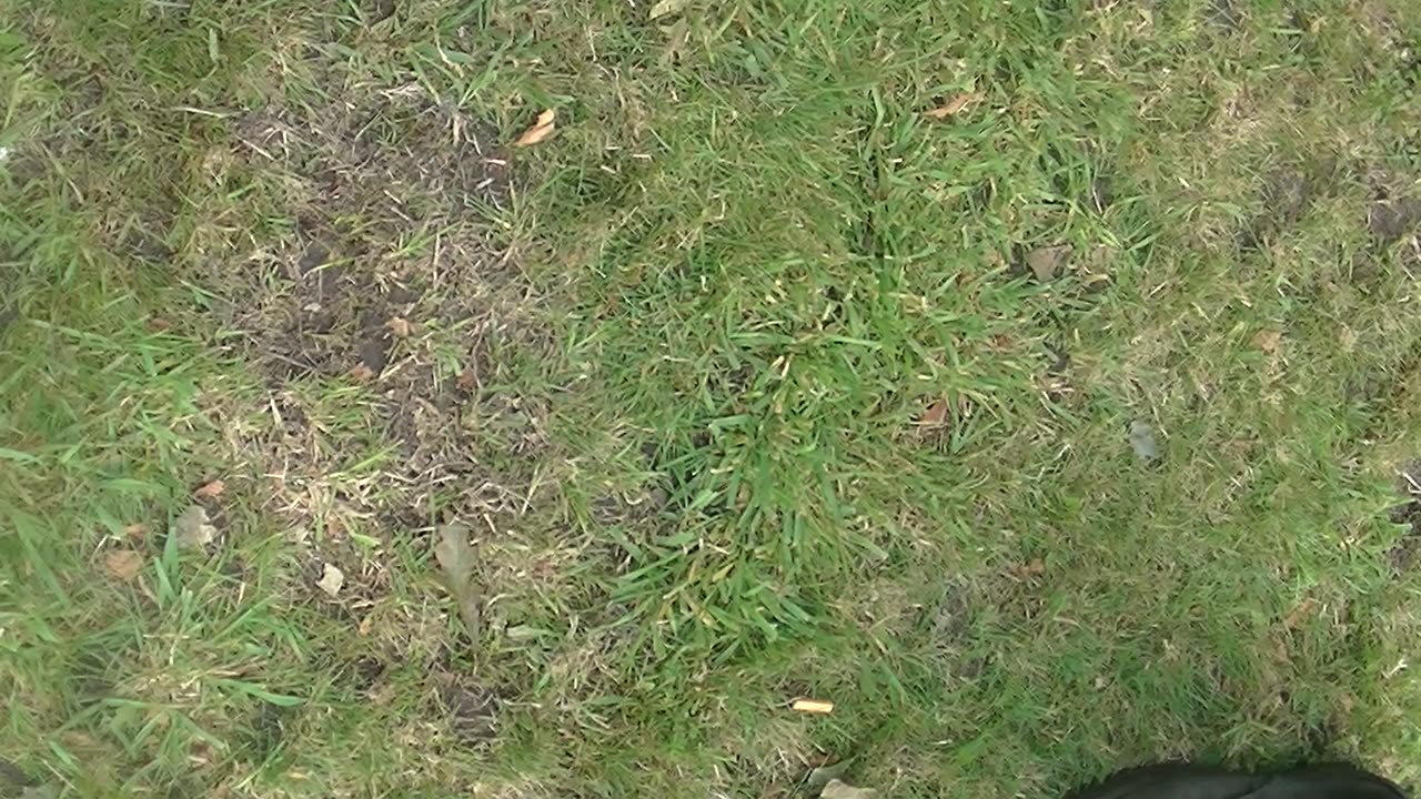 Pegida Enschede 2017 02/17