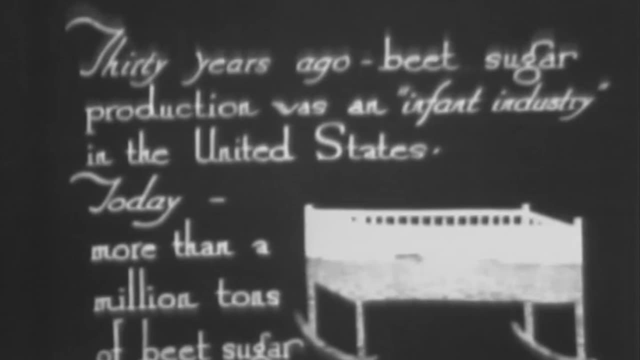 BEETS FROM SEED TO SUGAR BOWL - BEETS FROM SEED TO SUGAR BOWL - 33-212