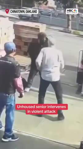 When niggers attack Old white man fights back