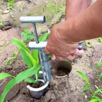 भेड़िया या हिरण क्या बनना है आपके हाथ में है