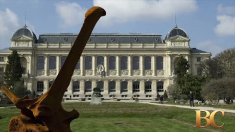 Woman arrested over theft of gold worth $1.7 million from Paris Natural History Museum