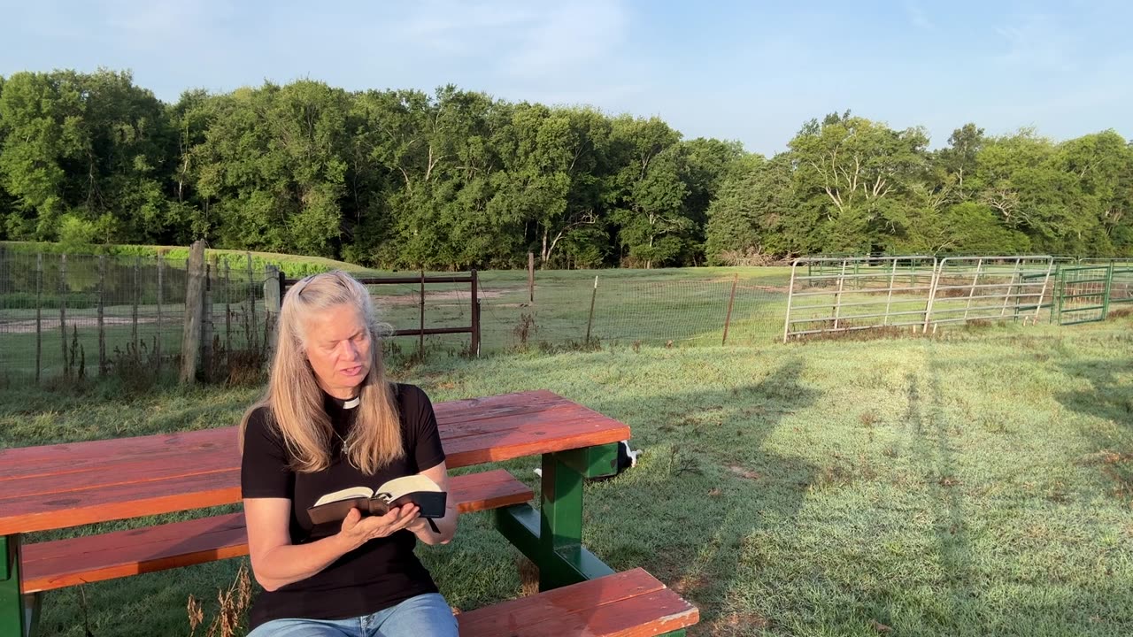 Morning Prayer, Daily Office