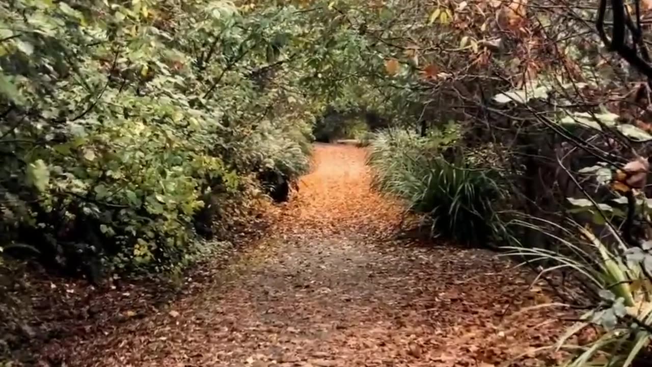 The Courage to Walk Your Own Path | Be Brave, Start Today