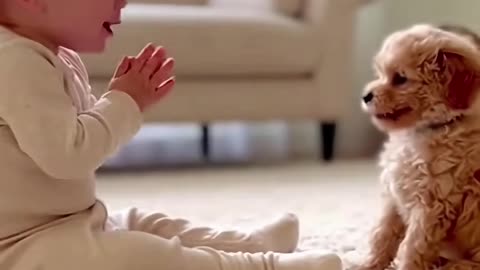 Kids Playing with Dogs and Cats | Cute Baby & Pet Friendship Moments 🐶🐱