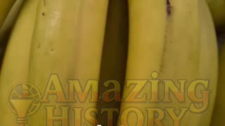 Your Breakfast Might Be Radioactive 🍌 #science #shorts