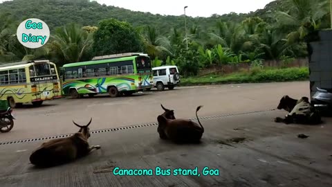 Canacona Bus Stand- Goa Travel Vlogs -2018