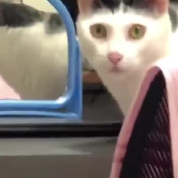 Need to find inner peace within yourself