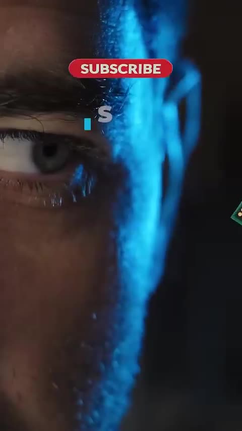 Whats inside a chip?