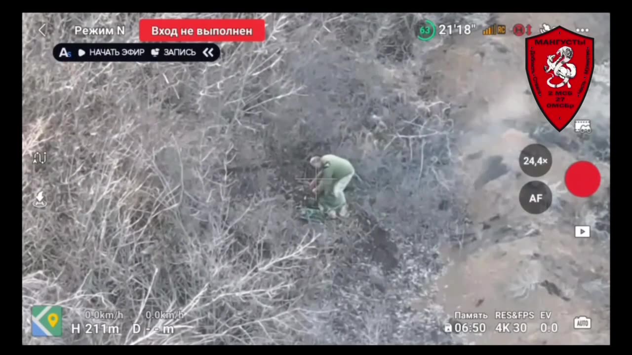 Hell Dancer Causes Seven Brothers to Die from Cringe