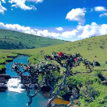 “🇱🇰 Sri Lanka’s Hidden Gem – Horton Plains National Park 🤩 | Stunning 4K”