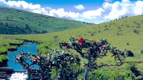 “🇱🇰 Sri Lanka’s Hidden Gem – Horton Plains National Park 🤩 | Stunning 4K”