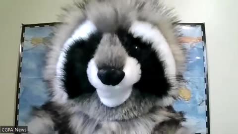 Absolutely No faith Whatsoever in the Toronto Maple Leaf