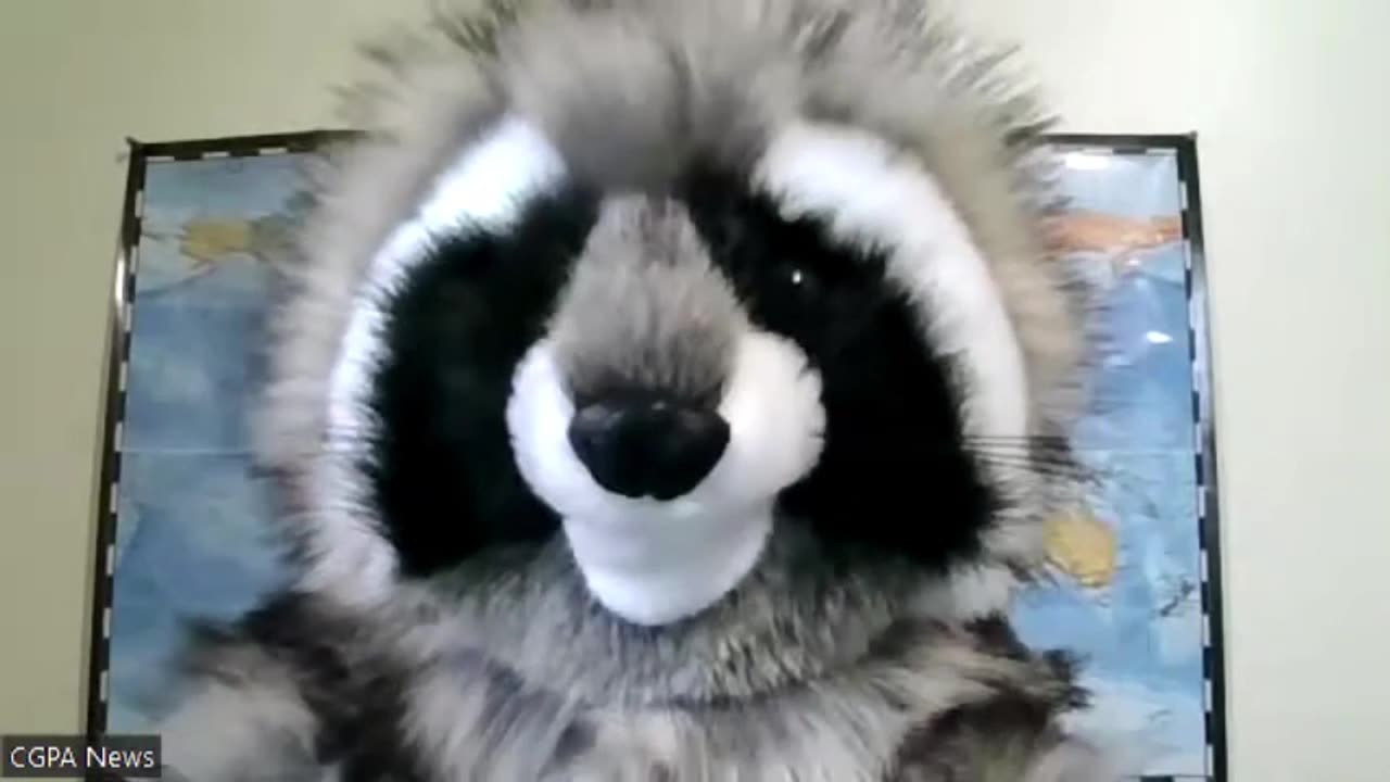 Absolutely No faith Whatsoever in the Toronto Maple Leaf