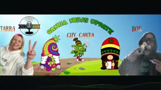 Ganja News Update Tonight