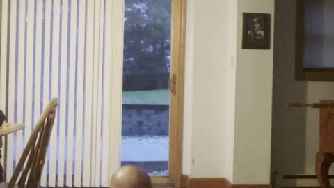 Exercising Everyday till I'm fit Day 43 #exercise #fitness