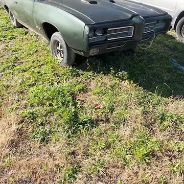 Monday Motor Madness # 155 - Waiting In The Weeds