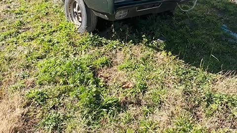 Monday Motor Madness # 155 - Waiting In The Weeds