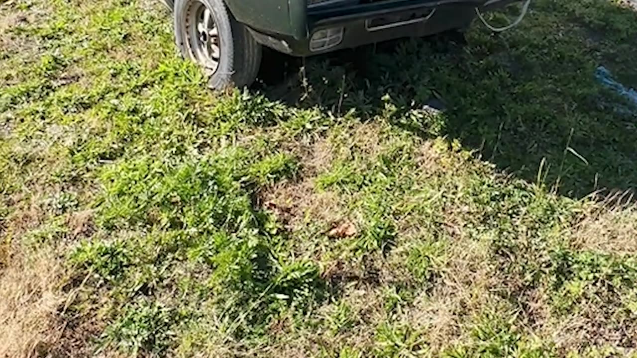 Monday Motor Madness # 155 - Waiting In The Weeds