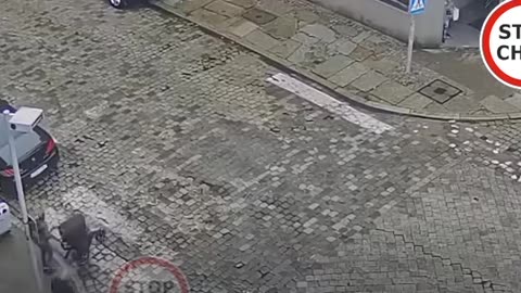 Owieczki drogowe - kto winien ?