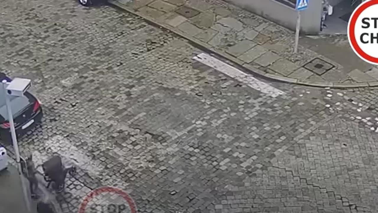 Owieczki drogowe - kto winien ?