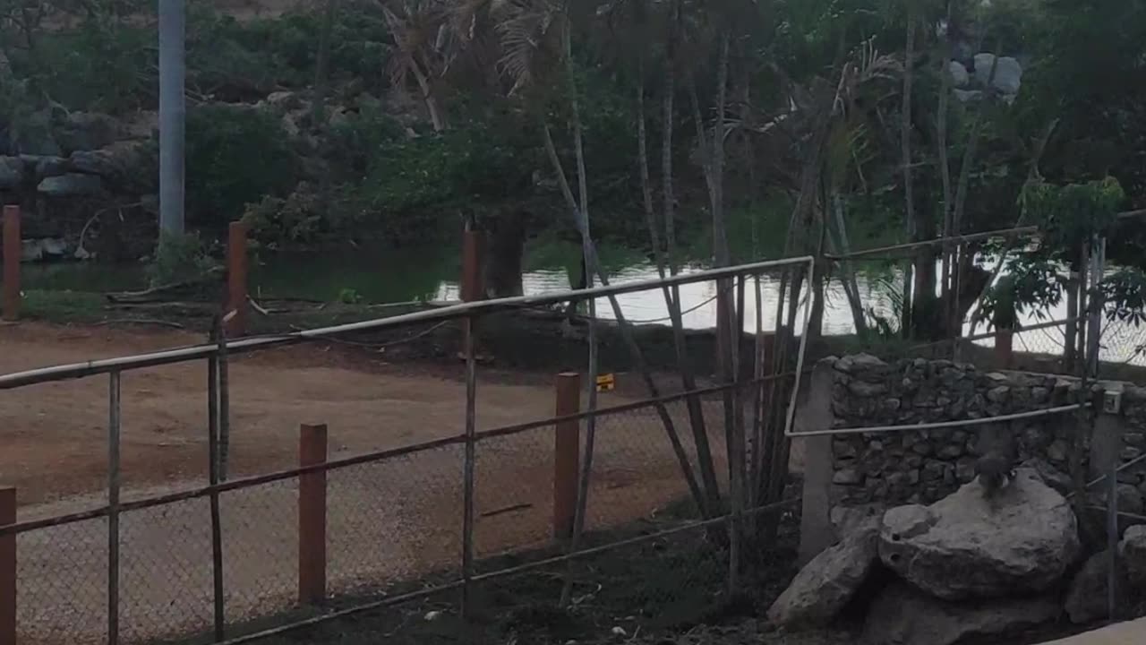Parque "La plancha"- Mérida - Yucatán - 4K