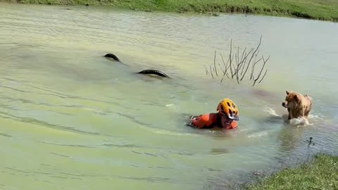 Hopeful Crossing of a Deep Puddle