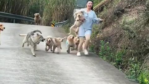 Ultimate Puppy Therapy Compilation Your heart will melt! 15 adorable breeds