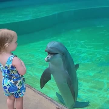 Little girl and super social dolphin stop to have a sweet chat | Humankind