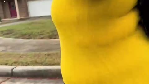 Suspect Challenge