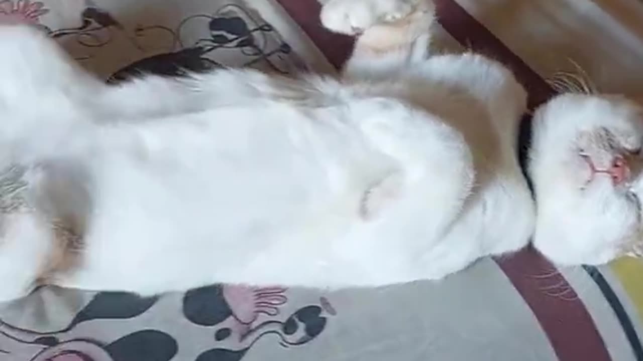 sleeping cause he pays the bills