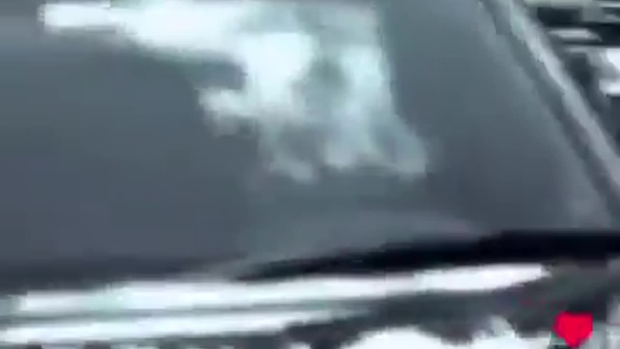 2009 Dr Stanley Monteith about poison in Food and Depopulation