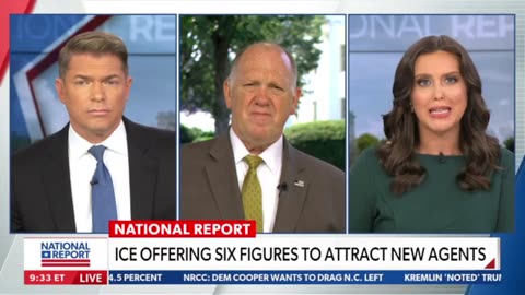 Tom Homan described the type of people the US is deporting