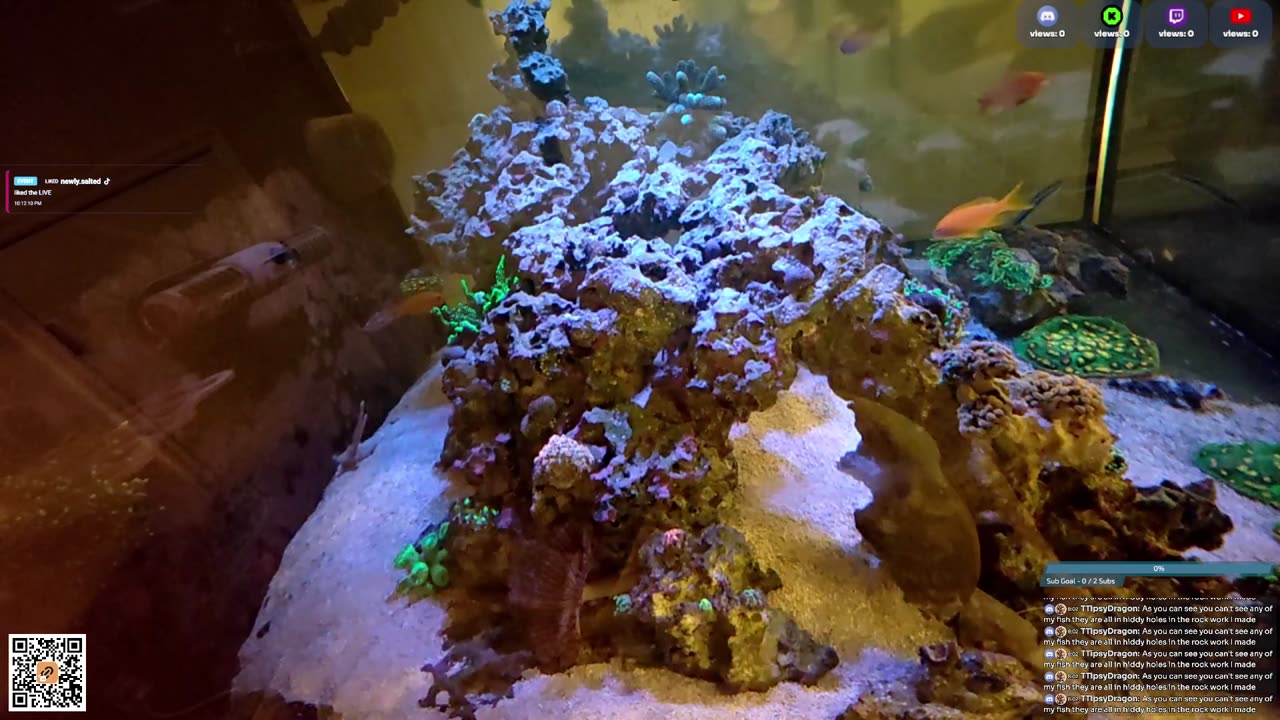 24/7 Real Live Reef Stream