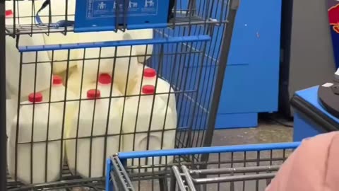 During emergency, Mexicans buy to sell in gas stations