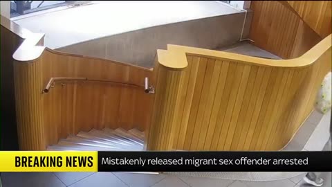 Images show moment mistakenly released migrant sex offender is arrested