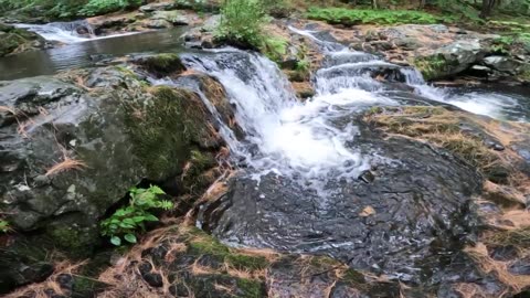 Cascades