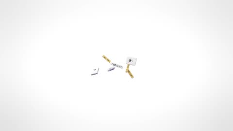 GRISELDA - DR BIRDS