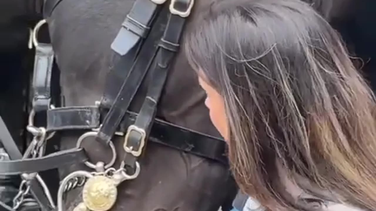 Cute and funny horse😂♥️