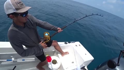 pesca a pesci grossi o big fish, parte 2, hammer shark o grande squalo martello_part2