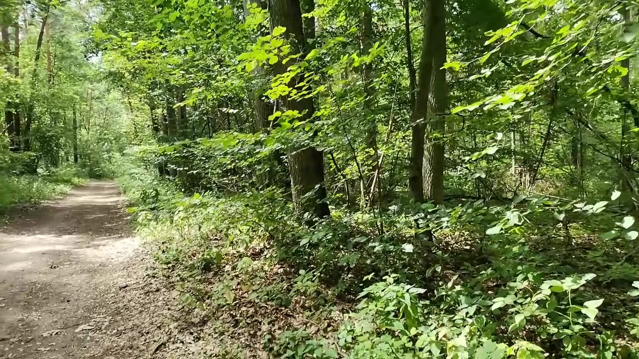 zaufać ...