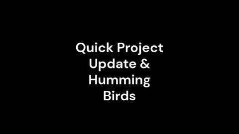 Project Update | Humming Birds | DIY