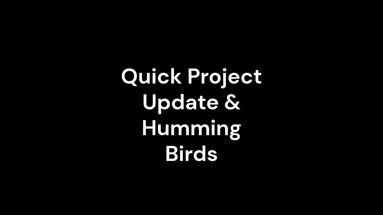 Project Update | Humming Birds | DIY