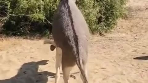 Yes, it is real