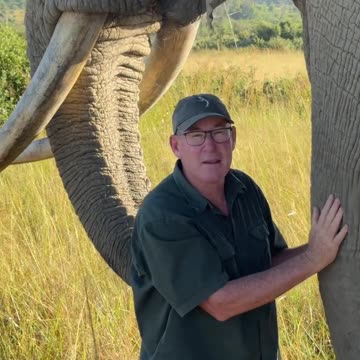 "Have You Ever Seen an Elephant's Foot? Amazing and Unbelievable!"