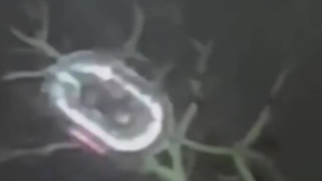 Scientists discover 20 mile long UFO that may appear by 10/27/25 .......